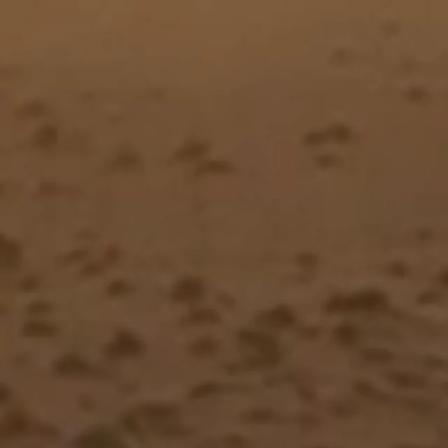 업스케일 전 사막 관목, 960 × 418 프레임에서 확대